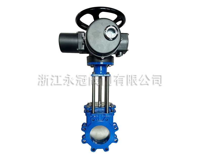 電動(dòng)梅花型刀閘閥PZ973H